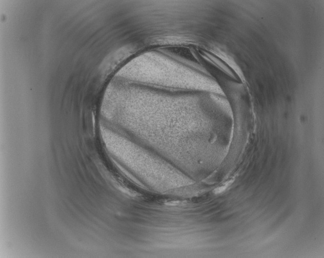 X0000076100109200610152353