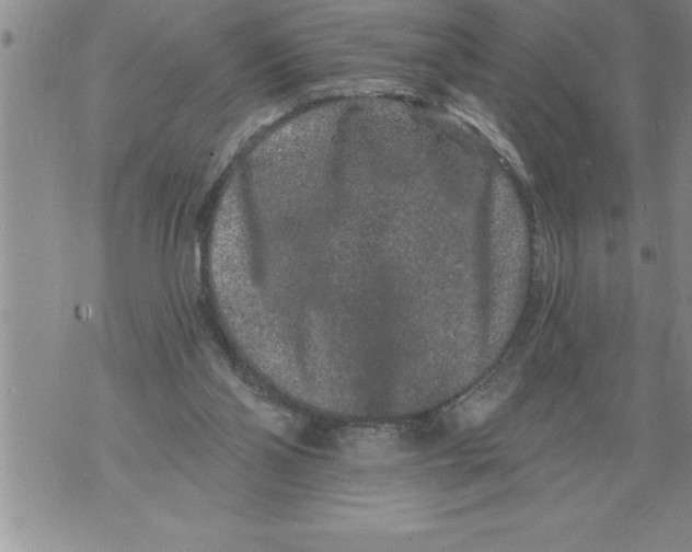 X0000076100110200610152353