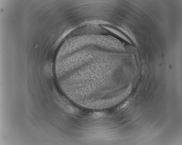 X0000076100111200610152353