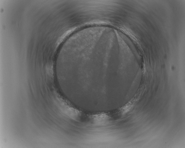 X0000076100112200610152353