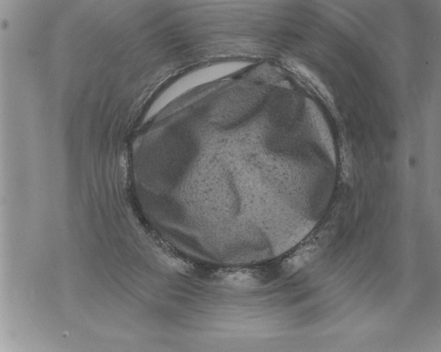 X0000076100113200610152353