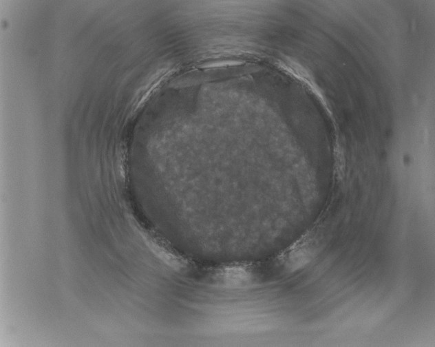 X0000076100114200610152353