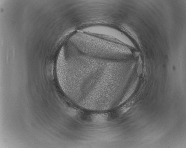 X0000076100115200610152353