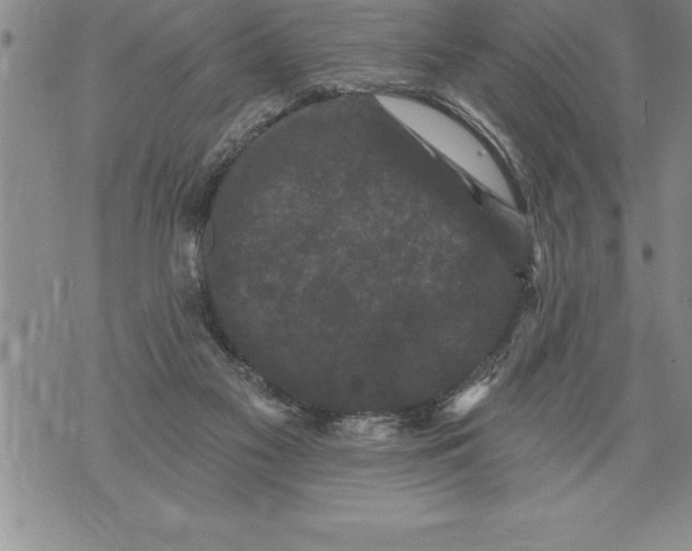 X0000076100117200610152353