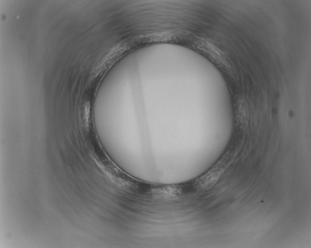 X0000076100118200610152353