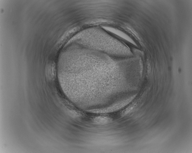 X0000076100119200610152353