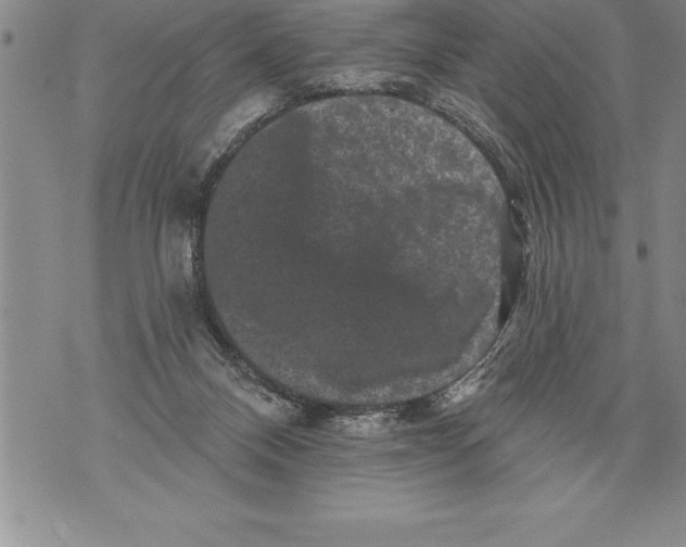 X0000076100120200610152353