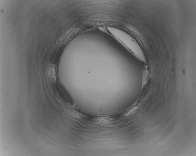 X0000076100121200610152353