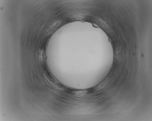 X0000076100122200610152353