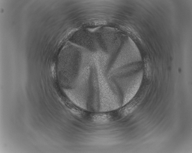 X0000076100123200610152353