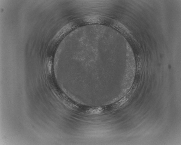 X0000076100124200610152353