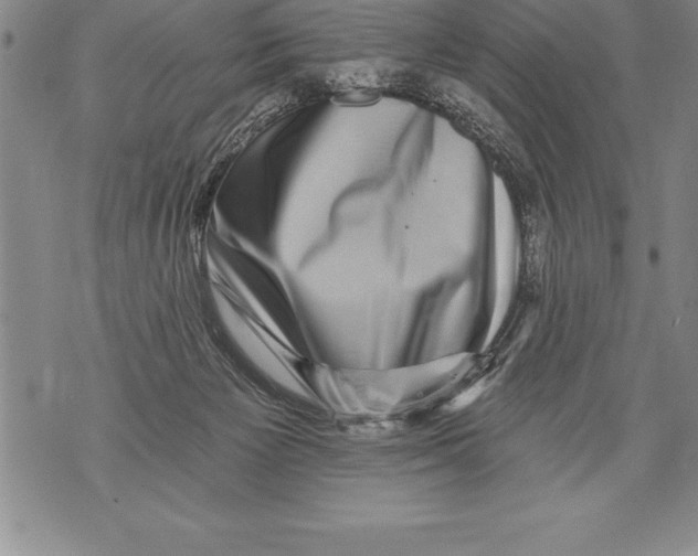 X0000076100125200610152353