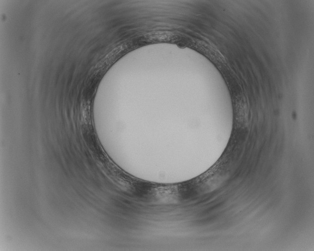 X0000076100126200610152353