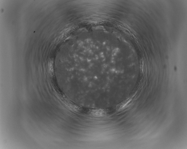 X0000076100127200610152353