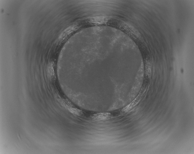 X0000076100128200610152353