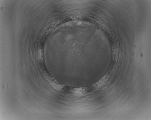 X0000076100130200610152353