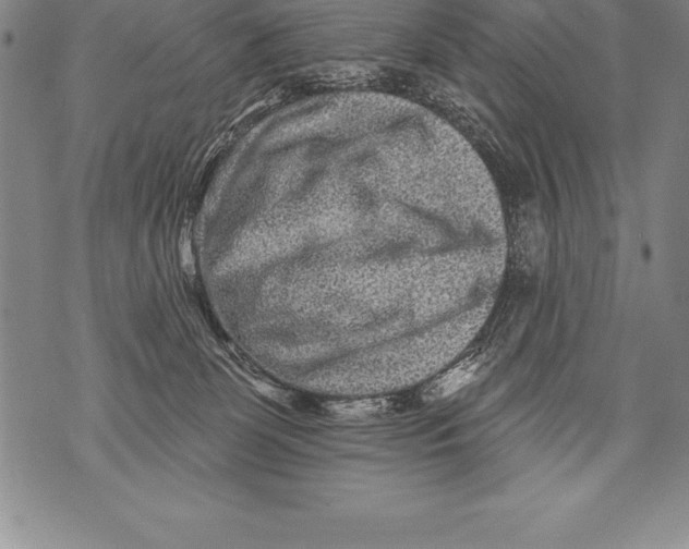 X0000076100131200610152353