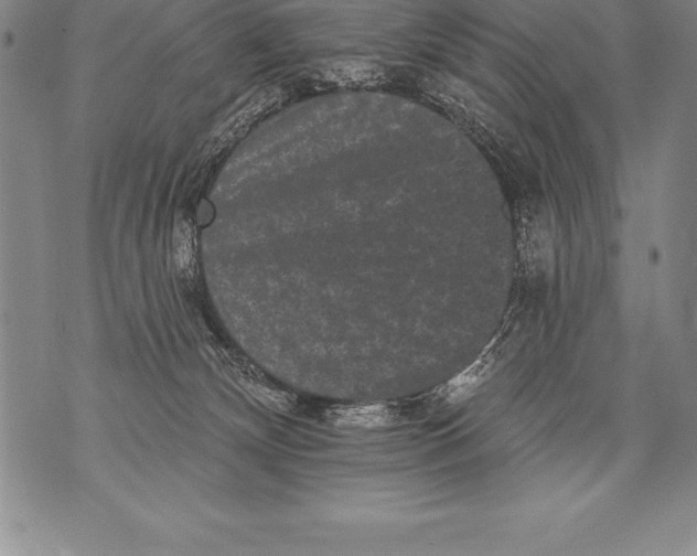 X0000076100132200610152353