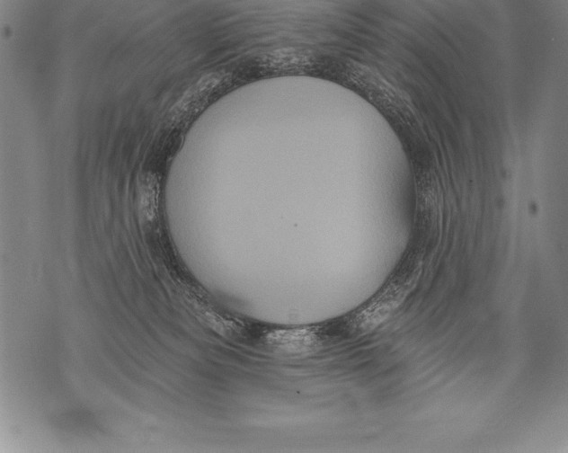 X0000076100133200610152353