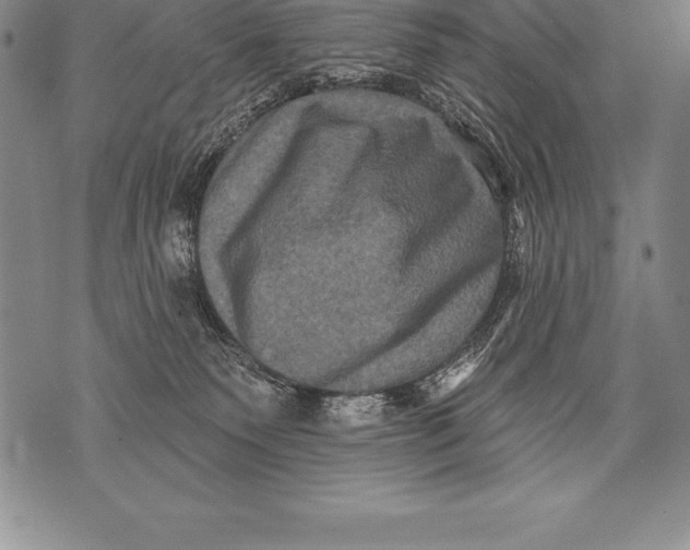 X0000076100135200610152353