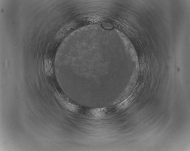 X0000076100136200610152353