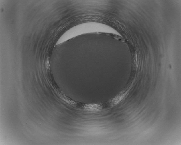 X0000076100137200610152353