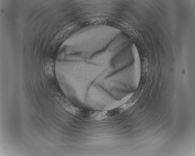 X0000076100138200610152353