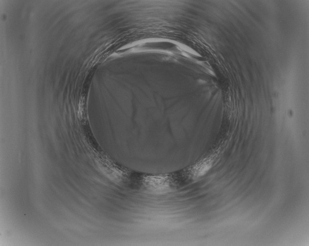 X0000076100139200610152353