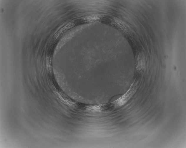 X0000076100140200610152353