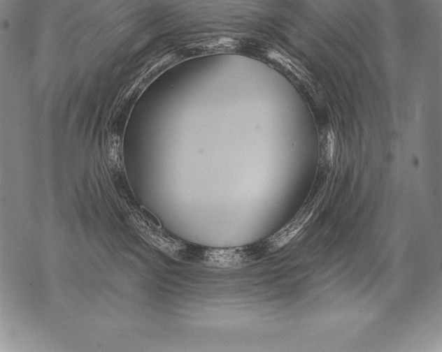 X0000076100141200610152353