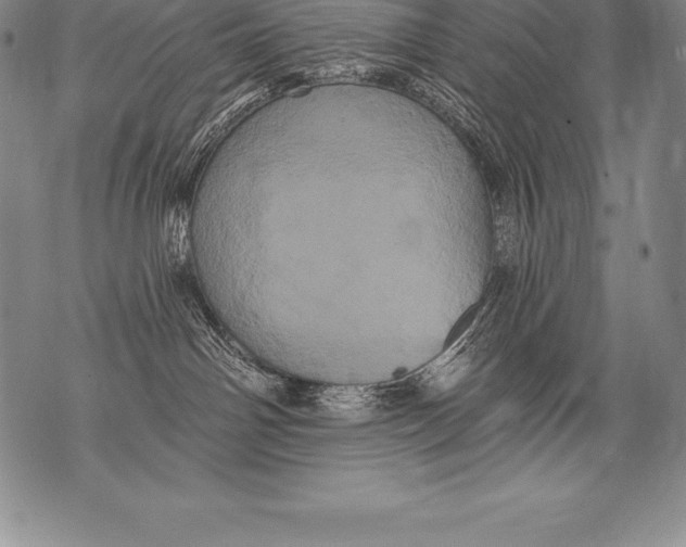 X0000076100142200610152353