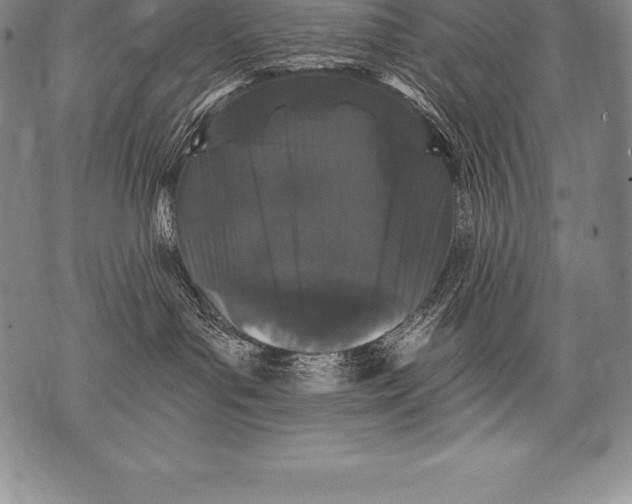 X0000076100143200610152353