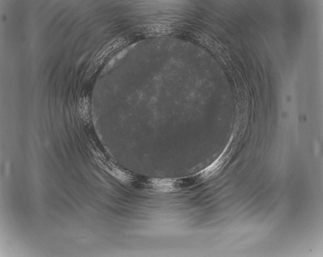 X0000076100144200610152353