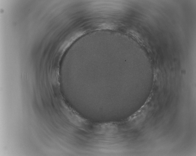 X0000076100146200610152352