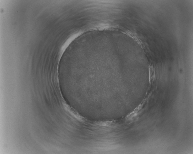 X0000076100147200610152352