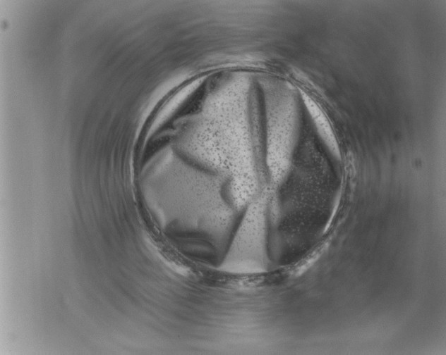 X0000076100148200610152352