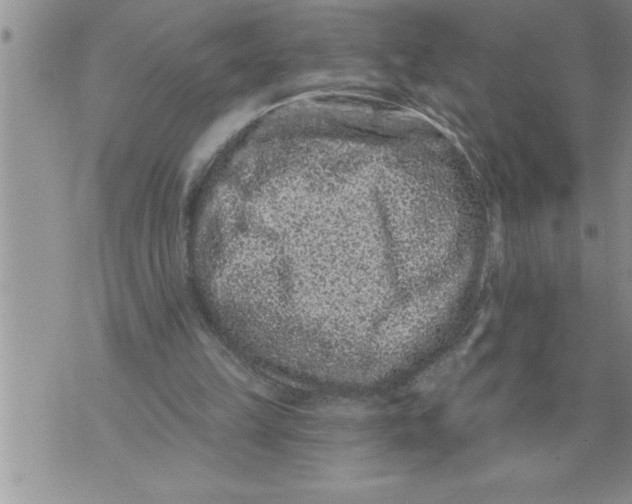 X0000076100149200610152352