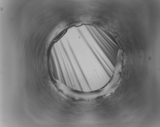 X0000076100150200610152352