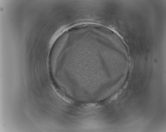 X0000076100151200610152352