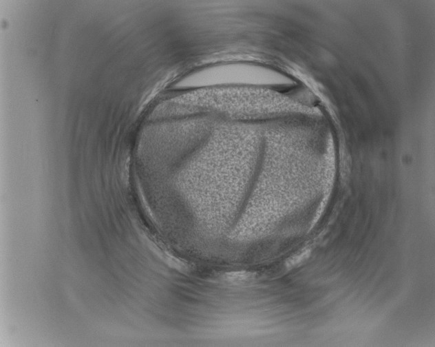 X0000076100153200610152352