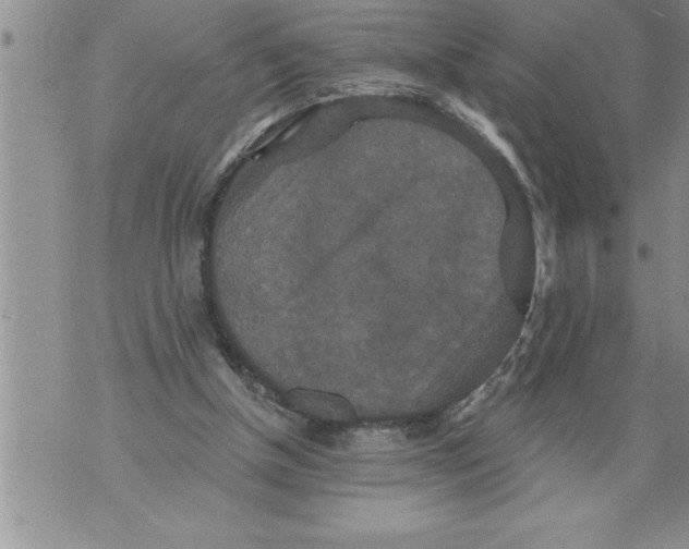 X0000076100154200610152352