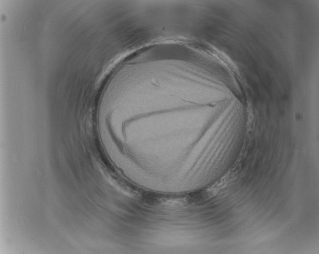 X0000076100155200610152352