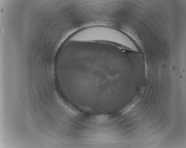 X0000076100156200610152352