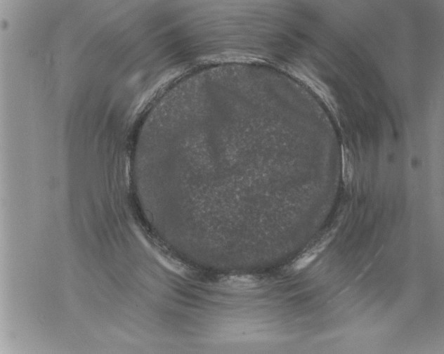 X0000076100157200610152352