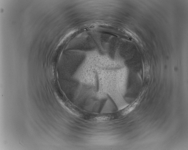 X0000076100158200610152352