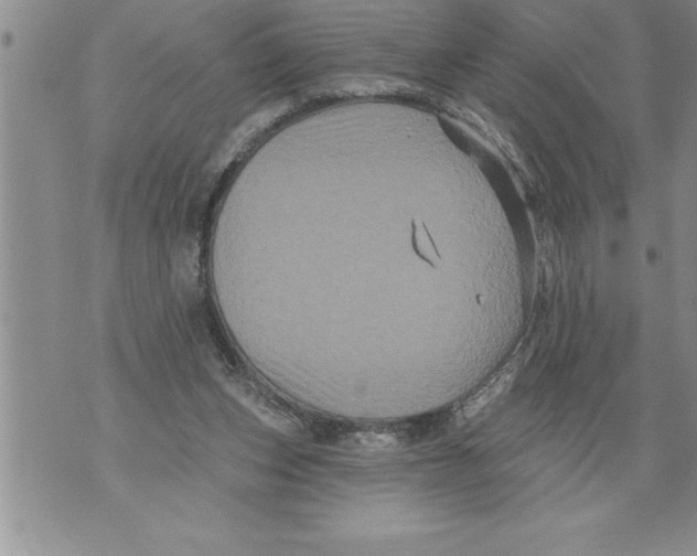 X0000076100159200610152352