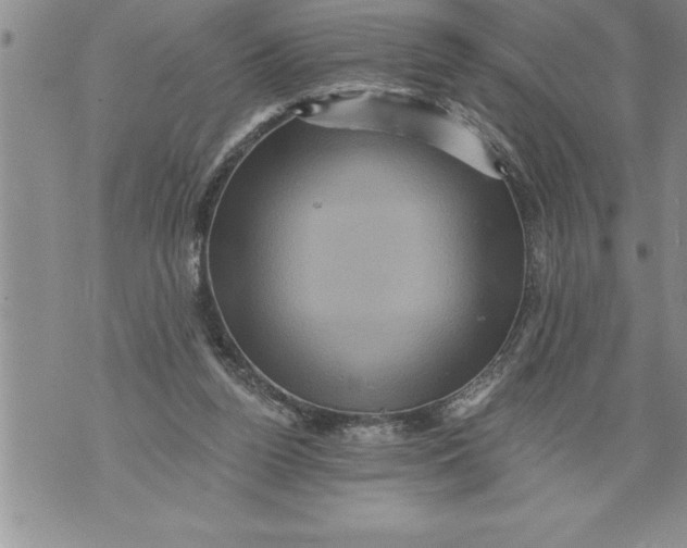 X0000076100160200610152352