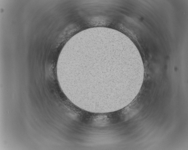 X0000076100162200610152352