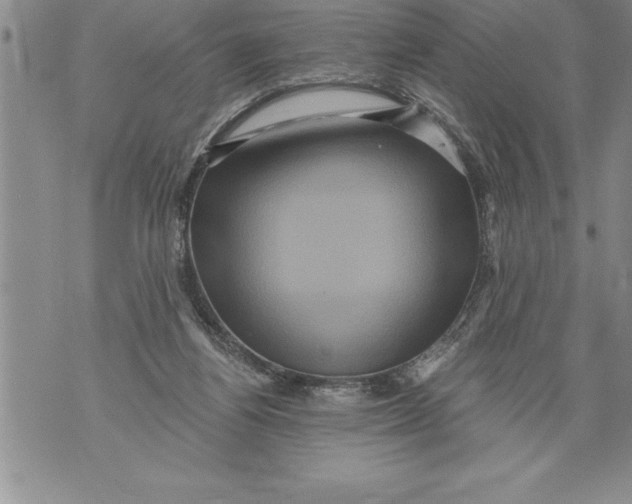 X0000076100164200610152352