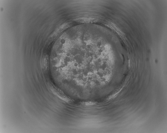 X0000076100165200610152352